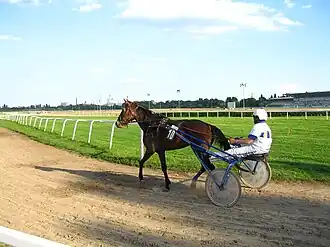 Image illustrative de l’article Kincsem Park