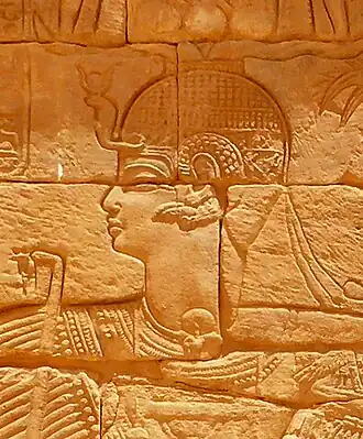 Image illustrative de l’article Arnékhamani