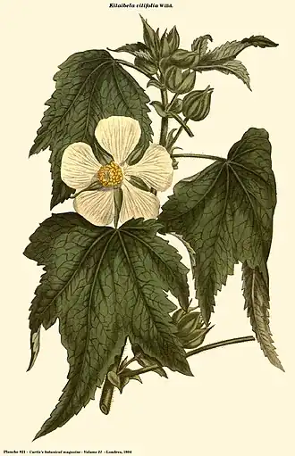 Description de cette image, également commentée ci-après