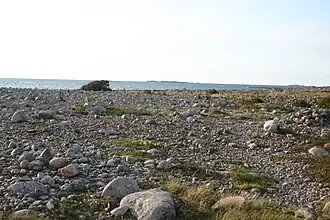 Galets sur la côte ouest de l'île.