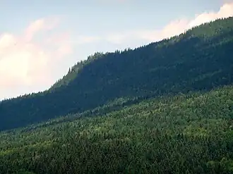 Vue du sommet du Kleiner Falkenstein.