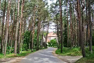 Cimetière de la forêt