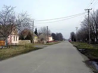 Knićanin