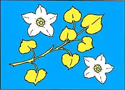 Drapeau de Kochánov