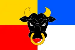 Drapeau de Koclířov