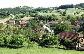 Komorane (Rekovac)
