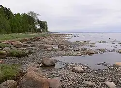 La côte près de Komarovo.