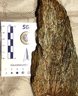 Komatiite de la localité type de Komati River (Afrique du Sud)