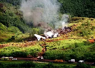 Prise de vue aérienne, montrant le site du crash du vol 801.