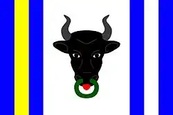 Drapeau de Koroužné