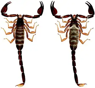 Description de cette image, également commentée ci-après