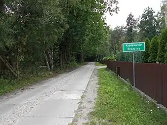 Królewskie Brzeziny