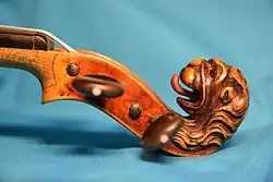 photo : Tête d'un Stainer