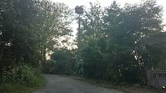 Krzeczanowo