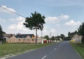 Krzywy Las (Grande-Pologne)