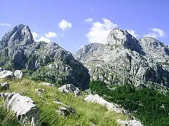 Image illustrative de l’article Surdup