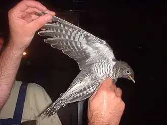 Description de cette image, également commentée ci-après