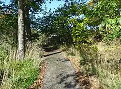 Montée de Gammelgårdsvägen vers le sommet..