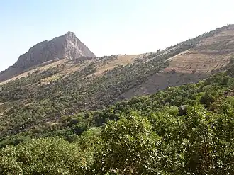 Description de cette image, également commentée ci-après