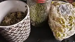 Soupe de mungo, mungos secs et pousses de soja jaune, tels qu'utilisés en cuisine chinoise.