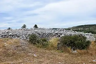 Enceinte protohistorique de la Rode.