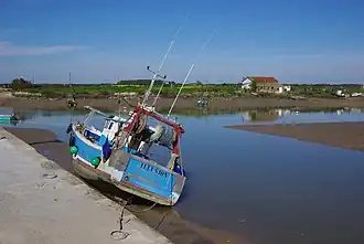 La Seudre à l'Éguille.