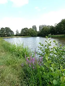 Vue d'ensemble de l'étang