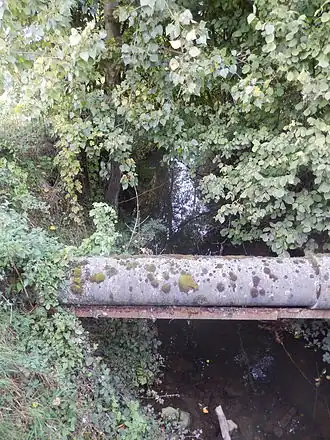 La rivière Allemagne à Eppeville.