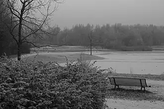 L'étang de la Briquette en hiver.