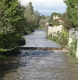 L'Huveaune à Sainte-Marguerite (Marseille).