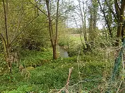 L'Ingon à Herly à côté du moulin désaffexté