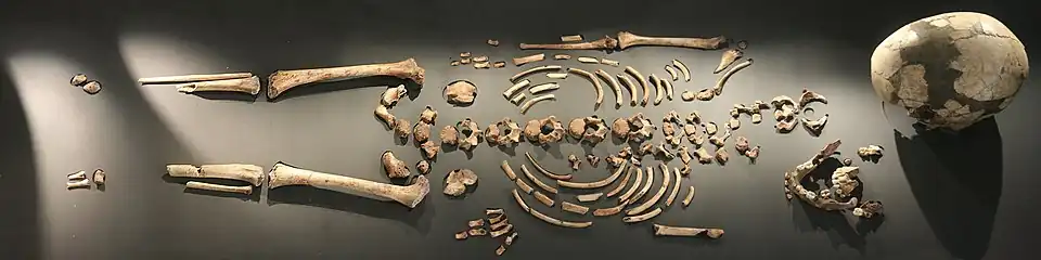 « L'enfant de la Madeleine ».