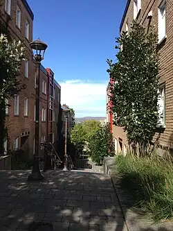 L'escalier vers le parc Berthelot