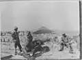 Pins encore jeunes en 1917.