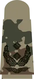 Oberstleutnant(camouflage zones tropicales)