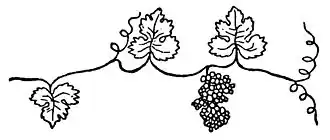 dessin en noir et blanc représentant un cep de vigne avec des feuilles et une grappe de raisins.