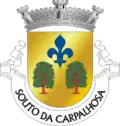 Blason de Souto da Carpalhosa