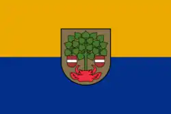 Drapeau de Valmiera