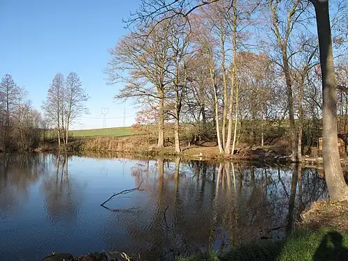 Étang à Lažany.