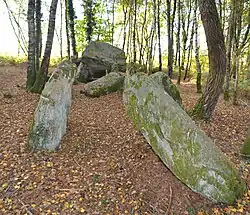 Allée couverte du Bignon