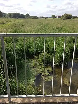 la Beine à Brouchy en mai 2020