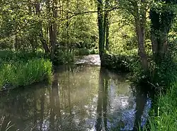 La Bresle dans le grand-marais.