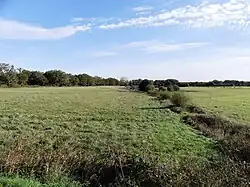 Ruisseau en aval de la RD 40.