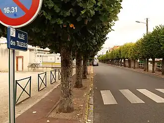 L’allée des tilleuls aujourd’hui