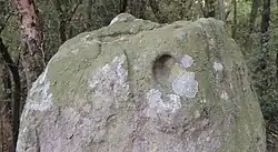 Image illustrative de l’article Haute Borne (La Chapelle-la-Reine)