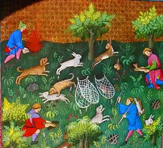 La chasse au furet, dans le Livre de chasse, de Gaston Fébus (1387).