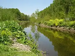 La Dive près de Saint-Just-sur-Dive.