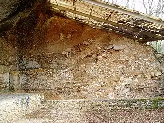 Image illustrative de l’article La Ferrassie