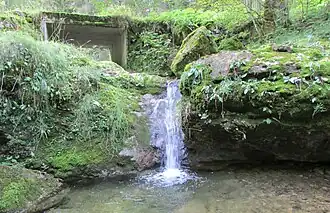 Petite cascade.