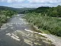 La Loire à Coubon.